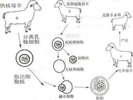 現(xiàn)代生物技術(shù) 初中生物測(cè)試題與答案解析